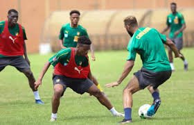 Can Total Egypte 2019, les Lions indomptables affutent leurs armes