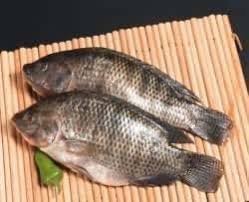 Et si on testait le poisson pour la fabrication de saucissons Made in Cameroon