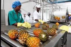 Les intrants locaux pour l’accroissement de la production des agro-industries