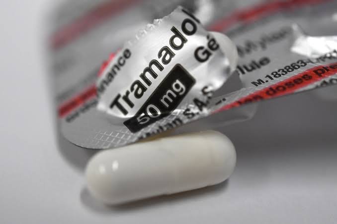 Cannabis, Tramadol, « caillou » : 57 suspects interpellés lors d’une opération antidrogue à Yaoundé